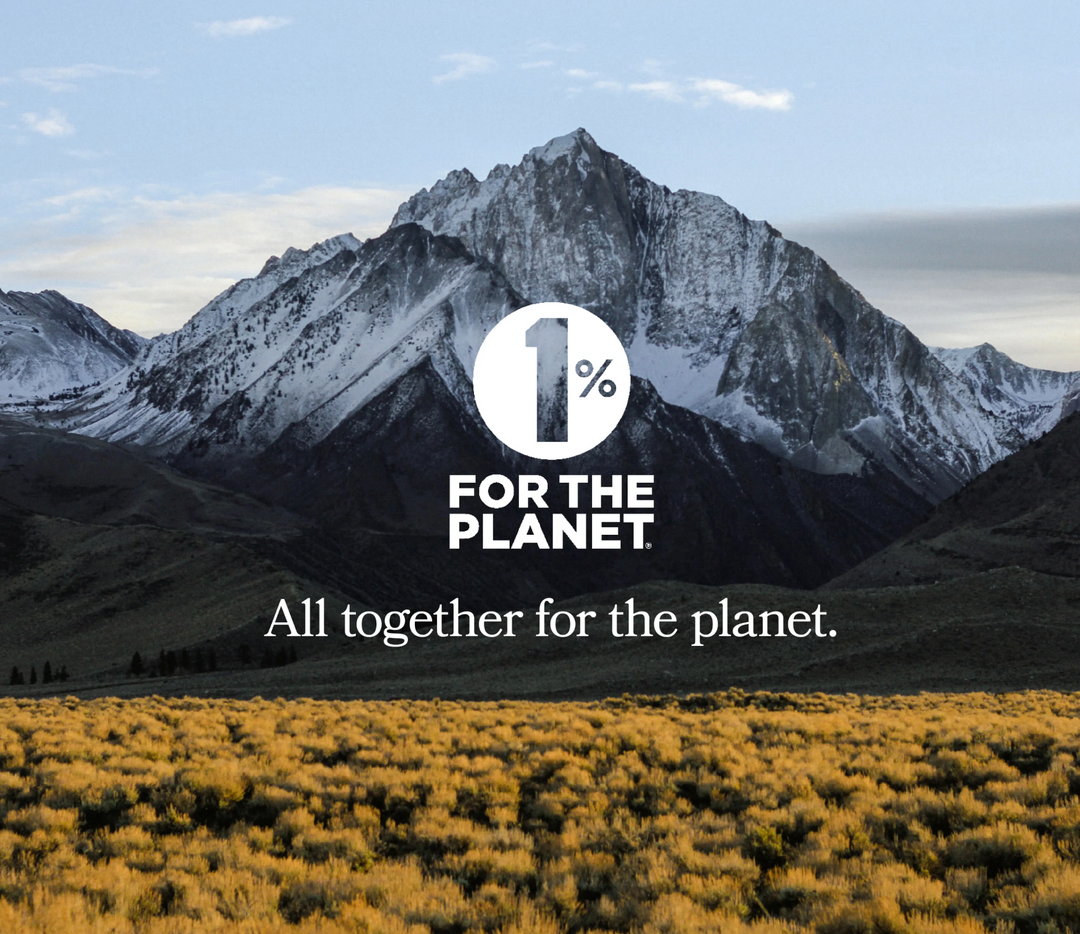Our Impact – Hill + House