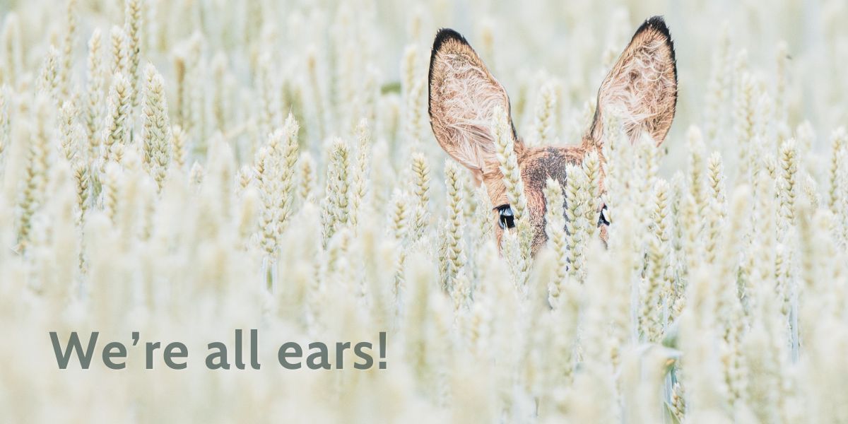 Deer with big ears in field with text, "We're all ears".