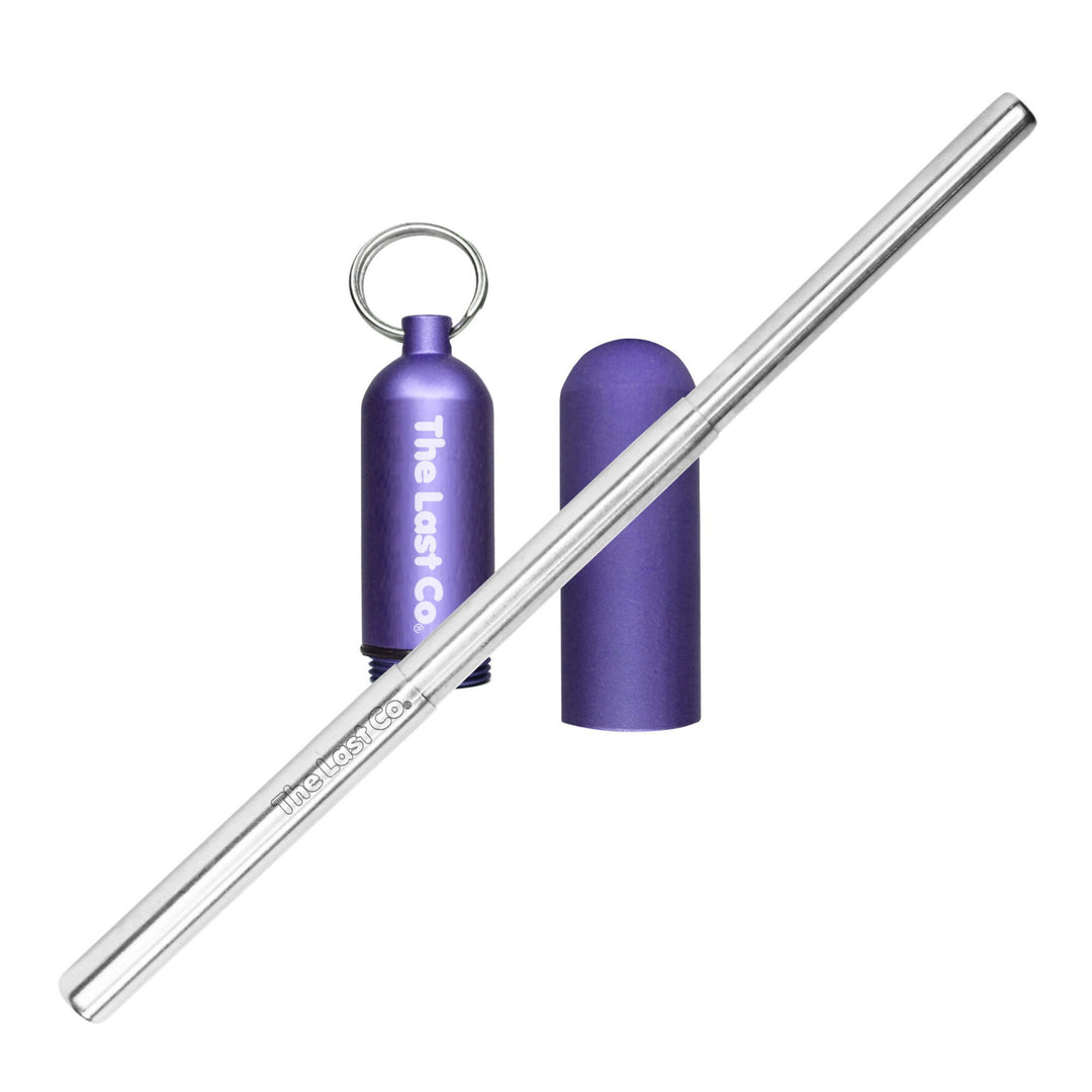Stainless Steel Telescopic Straw with Keychain Case