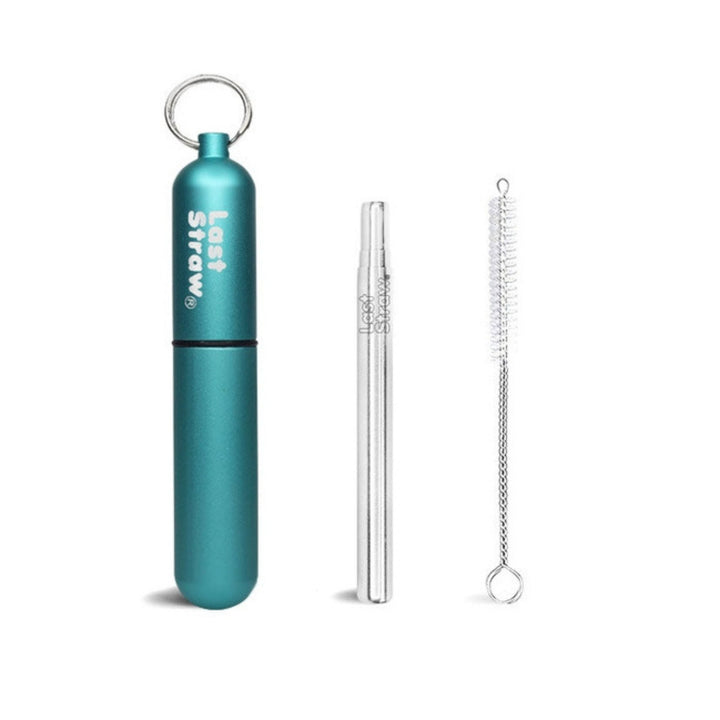 Stainless Steel Telescoping Straw with Keychain Case