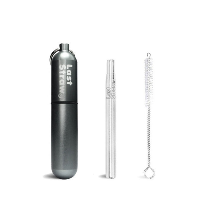 Stainless Steel Telescopic Straw with Keychain Case