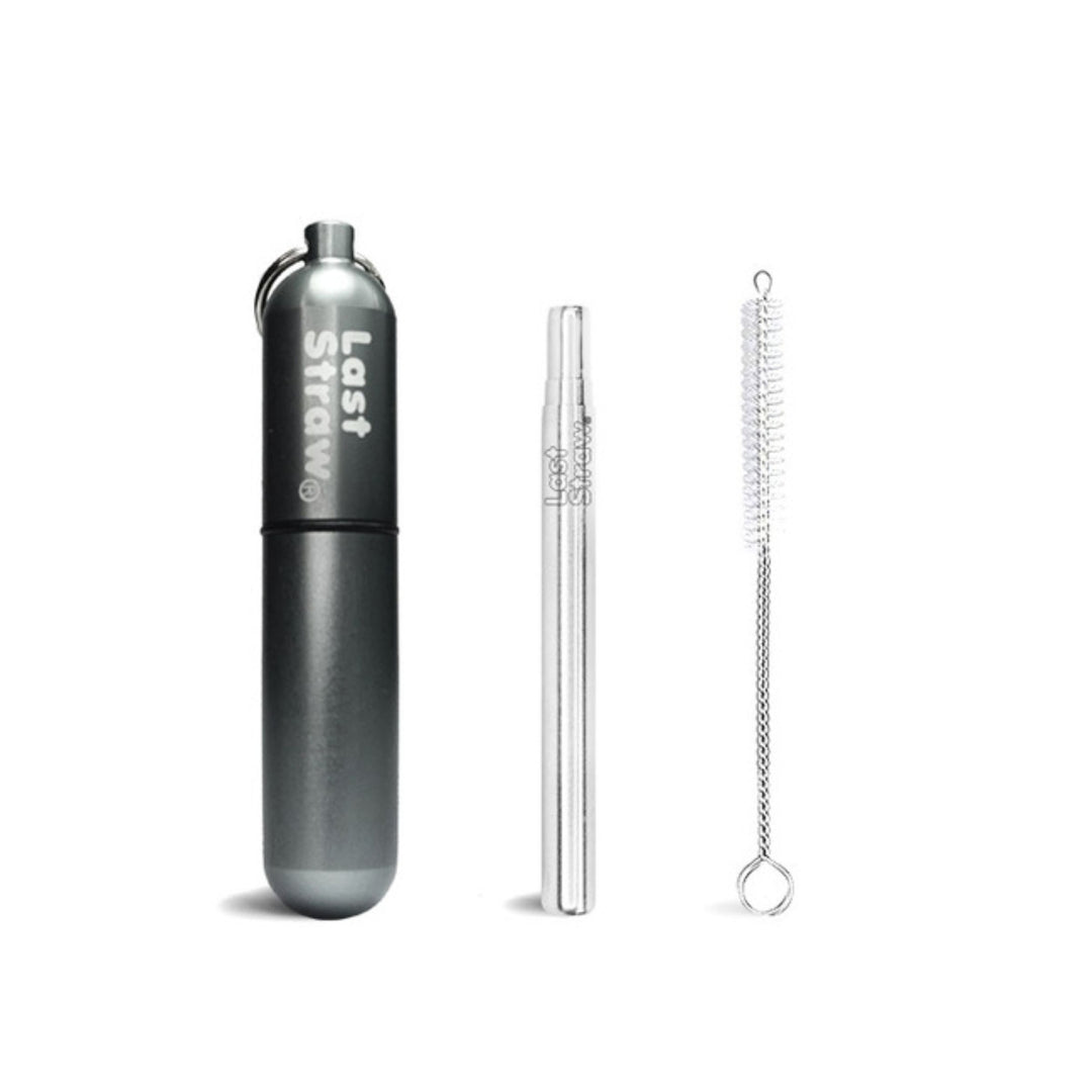 Stainless Steel Telescoping Straw with Keychain Case