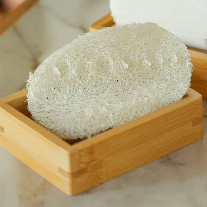 No Tox Life Moso Bamboo Soap Dish, Shown With Loofah Dish Sponge.