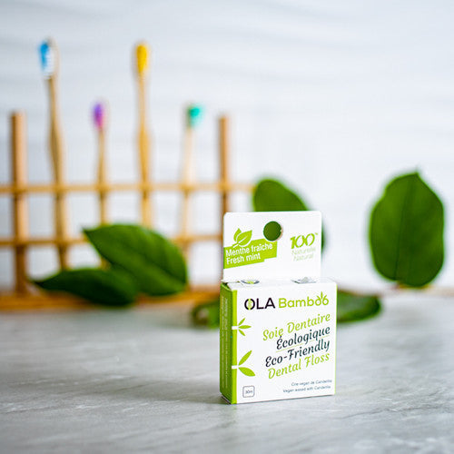 OLA Bamboo Eco Friendly Dental Floss With Toothbrushes And Green Leaves In Background.